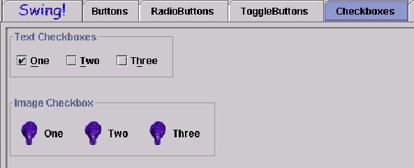 examples of Swing Set CheckBoxes